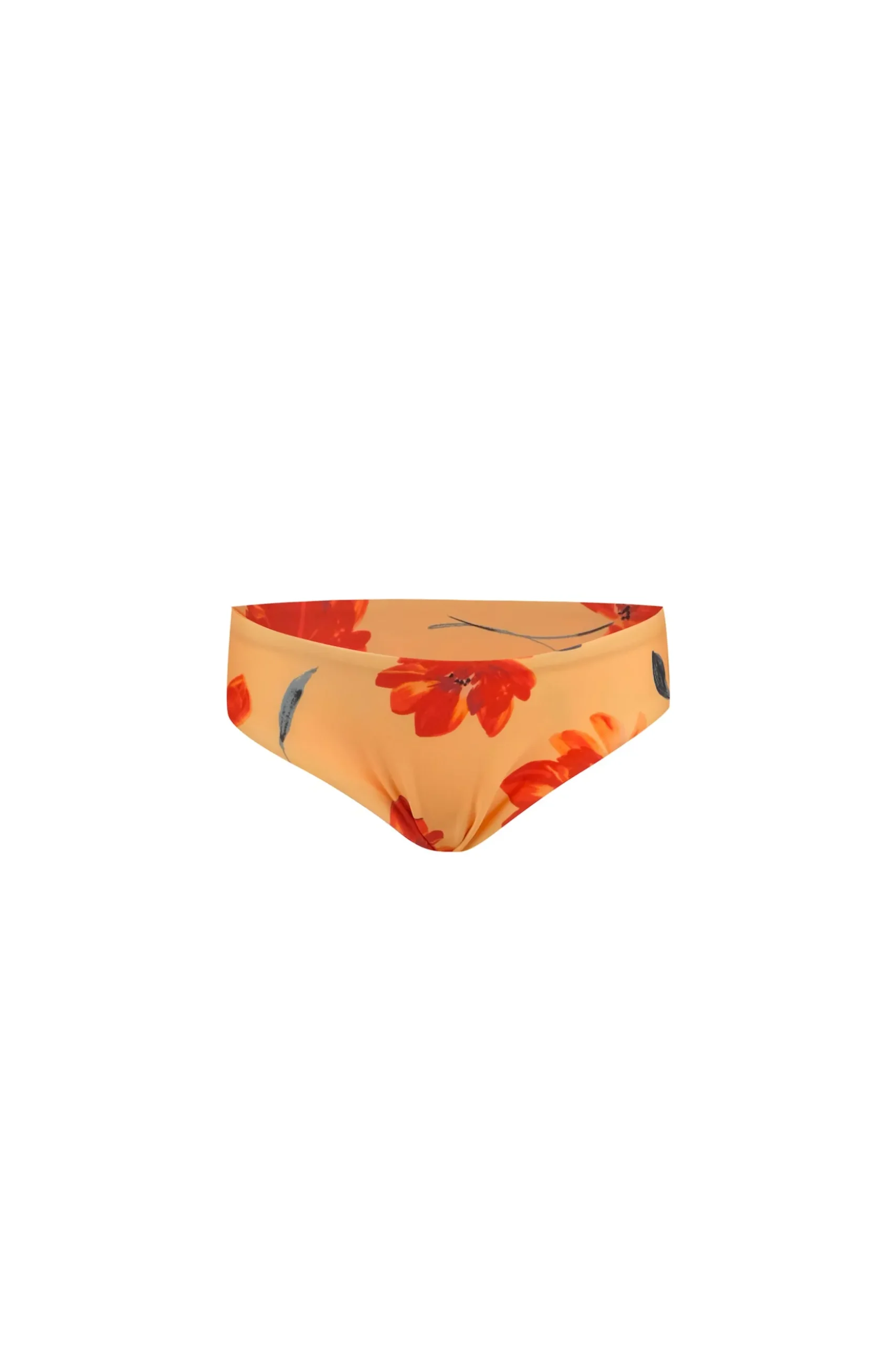 bamm-bamm brief
