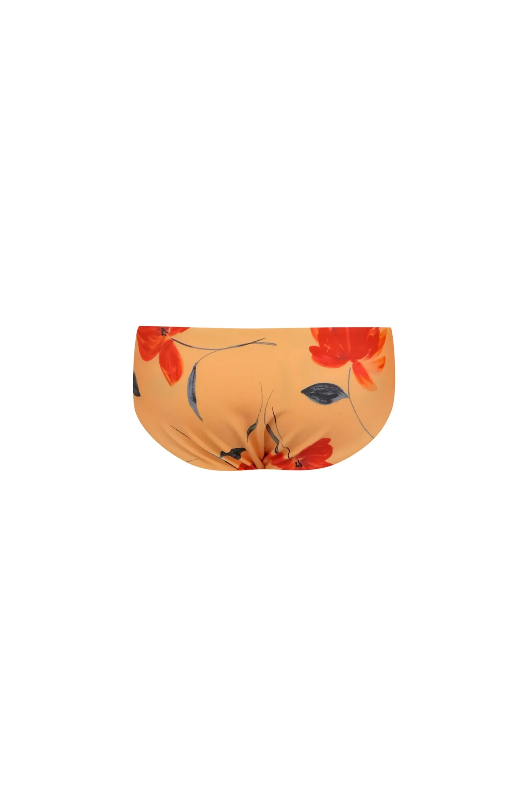 bamm-bamm brief