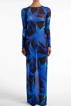 Mesh Maxi Dress